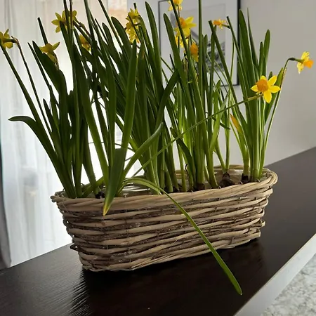 Apartmán Rodzinny Kolobřeh